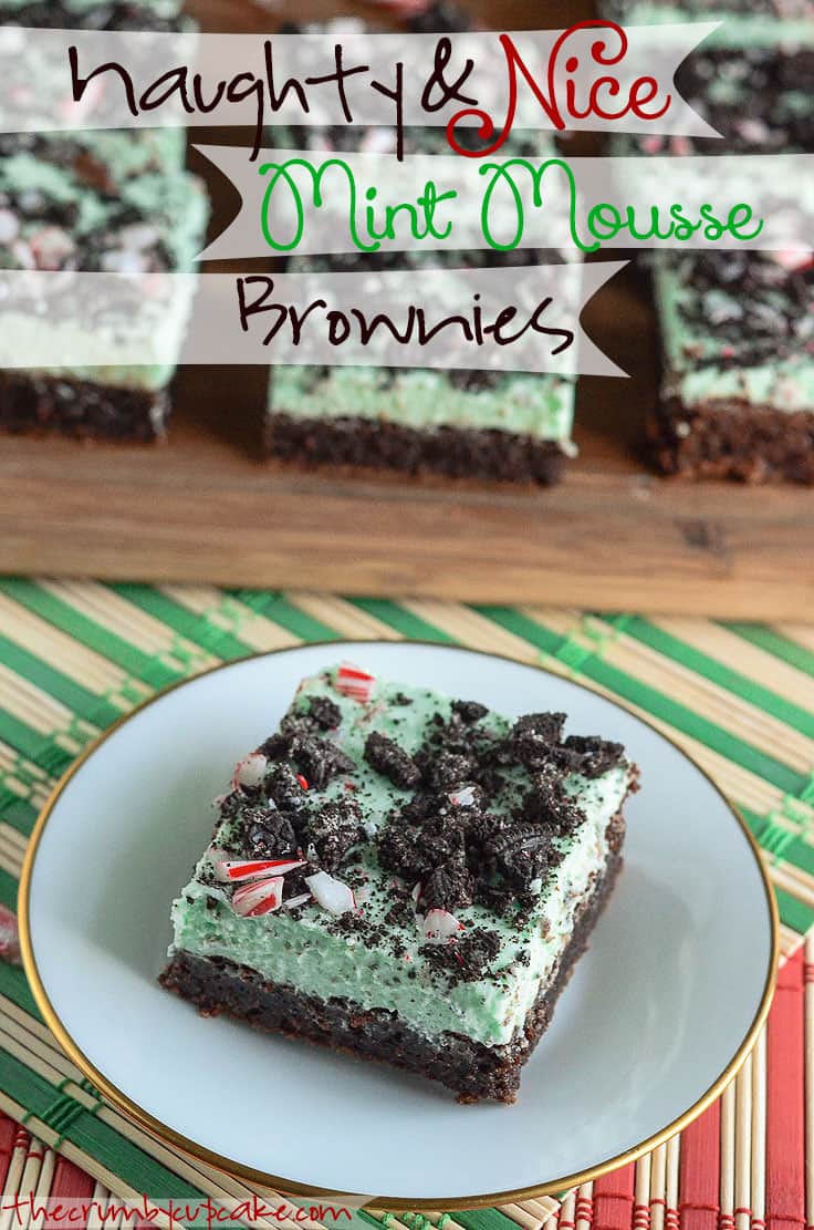 Caramel S'mores Brownies • The Crumby Kitchen