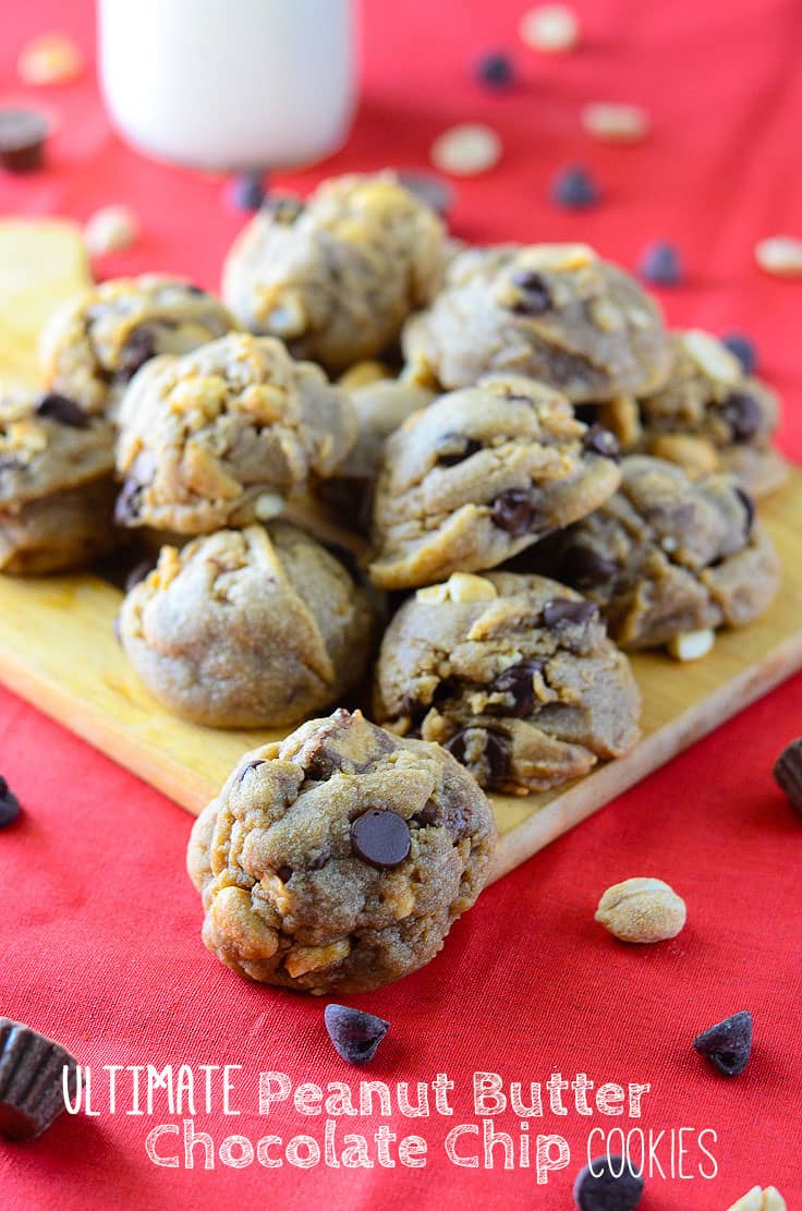 Ultimate Peanut Butter Chocolate Chip Cookies | My Cooking Spot via The Crumby Cupcake