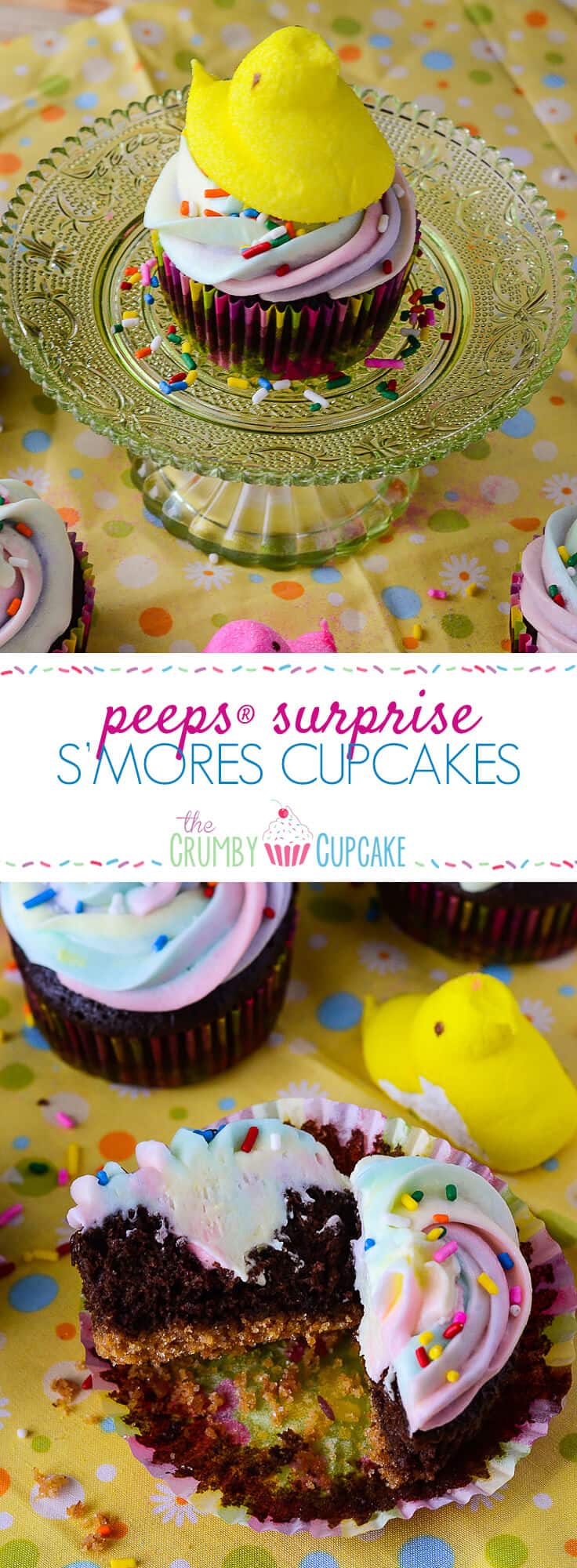 PEEPS® Surprise S'mores Cupcakes?! These sweet little chocolate & graham cracker cupcakes contain a secret surprise - they're filled & iced with PEEPS®!