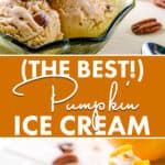 Pumpkin Ice Cream pin
