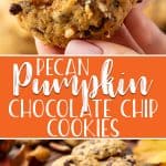Pecan Pumpkin Chocolate Chip Cookies pin 2