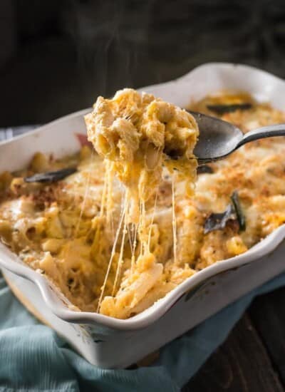 A tasty seasonal spin on an easy Italian dish, this Five Cheese Butternut Squash Baked Ziti makes a great meal between holidays or a sensational side to the main event!