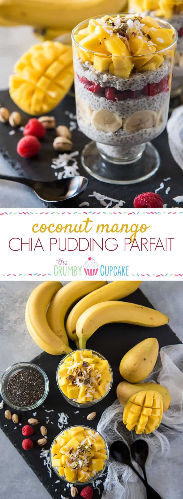 Go healthy with the most surprising dessert! This vegan, paleo, gluten-free Coconut Mango Chia Pudding Parfait is super simple to throw together and will satisfy even the biggest sweet tooth!