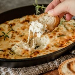 Warm, salty, and extra cheesy, this Baked Ricotta Dip is a delicious appetizer for any occasion. Serve it with slices of your favorite toasted bread and you'll find it hard to stop eating!