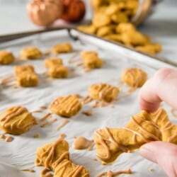Why should humans get all the tasty fall desserts? Treat your pup to these Soft Baked Peanut Butter Pumpkin homemade dog treats and let 'em revel in the season with you!