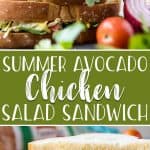 This lightened-up, no mayo Summer Avocado Chicken Salad Sandwich is all you're going to want to eat during those hot months! Shredded chicken breast, grilled corn, red onion, heirloom tomatoes, and cilantro are all mixed up in a mashed avocado, lime, and Greek yogurt base.