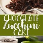 A cross between cake and a supremely moist brownie, this Chocolate Zucchini Cake is completely irresistible! This single layered confection is made extra decadent by the addition of shredded zucchini - a hidden healthy ingredient you won't even be able to taste through the rich chocolate!