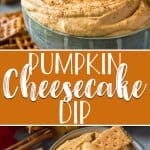 This Fluffy Pumpkin Cheesecake Dip is the quickest, easiest fall dessert imaginable! Canned (or fresh!) pumpkin puree, cream cheese, and whipped cream play big parts in bringing this scoopable, dippable treat to life - and it also doubles as a no-bake cheesecake filling!