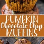 Fluffy and packed with flavor, these Pumpkin Chocolate Chip Muffins are about to become your new favorite fall treat! These super moist buttermilk pumpkin muffins are chock full of chocolate and crowned with toasted pumpkin seeds for a lovely crunch.