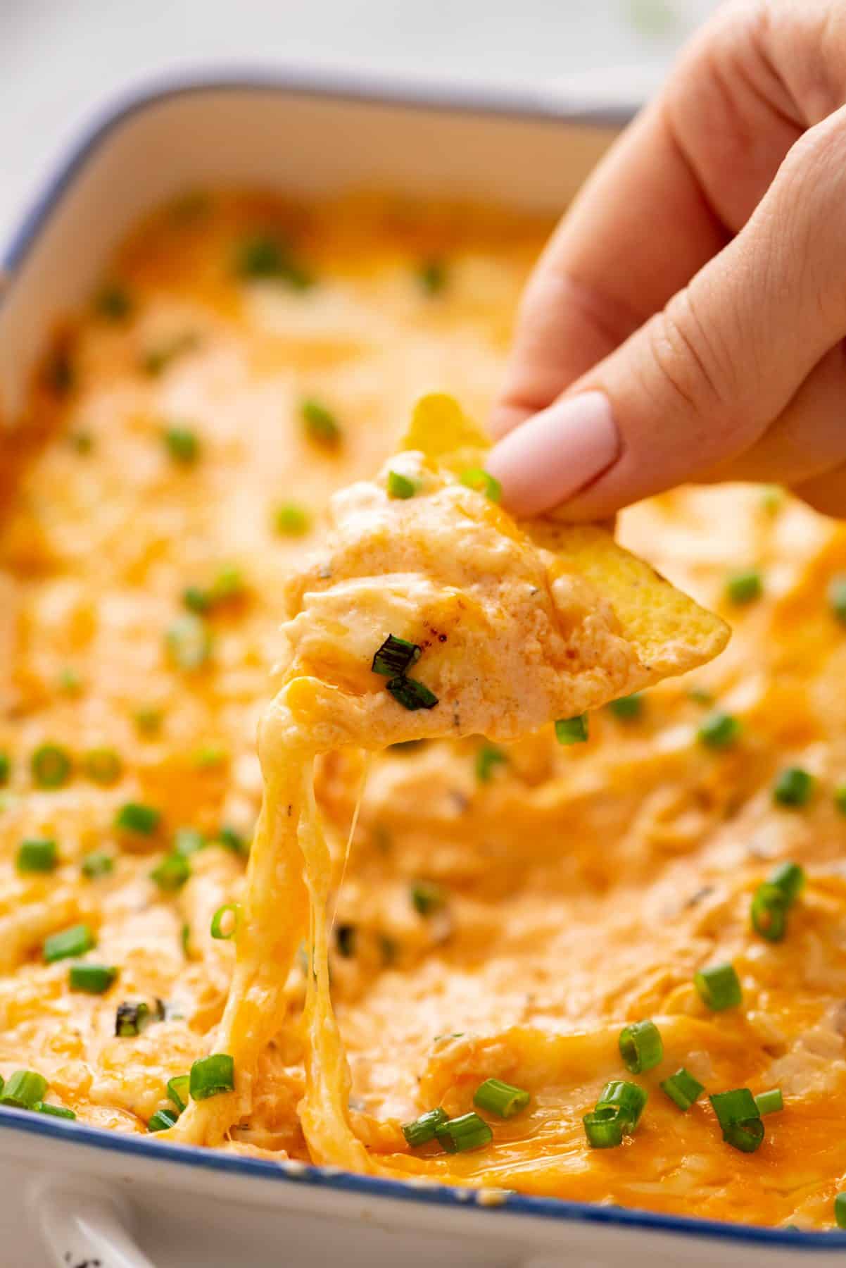 A hand dipping a tortilla chip in a dish of Buffalo Chicken Dip