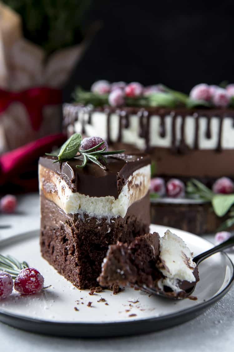 Partially eaten Double Chocolate Mousse Cake