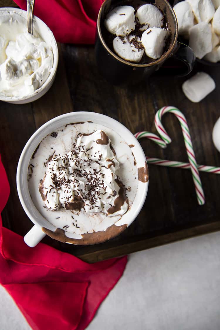 A mug of homemade Peppermint Hot Chocolate with candy canes