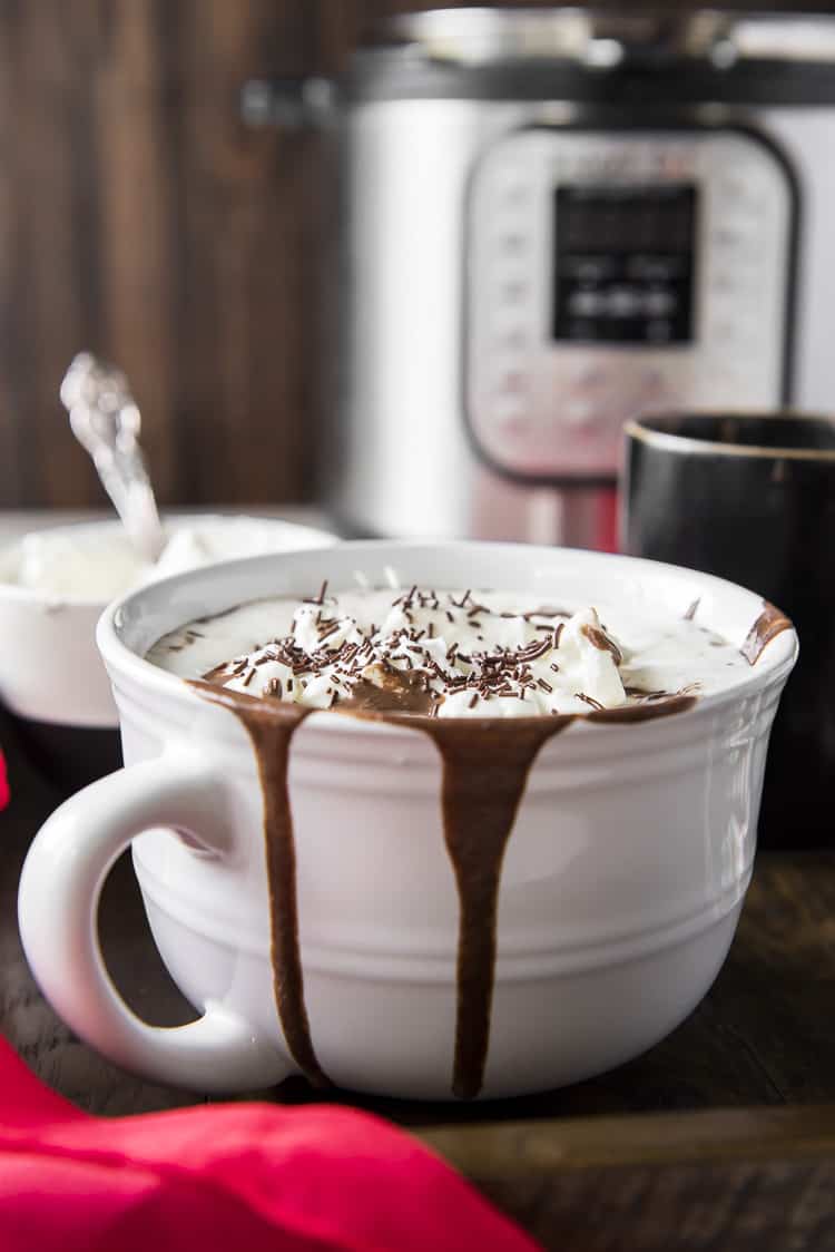 Instant Pot Peppermint Hot Chocolate