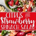 Bright, fresh, and full of flavor, this Citrus & Strawberry Spinach Salad is a taste of spring all year long! Crunchy greens, juicy strawberries and orange segments, and a snappy citrus vinaigrette make this a perfect addition to any meal.