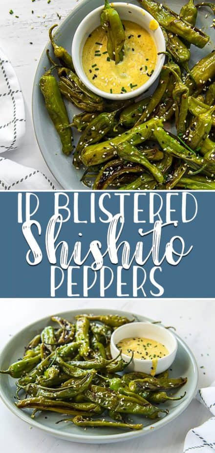 Blistered Shishito Peppers, made in your Instant Pot in less than 15 minutes, are proof that you can play with your food as an adult! Serve them as an appetizer or snack with a creamy Asian honey-mustard sauce and watch the fun unfold when someone gets a spicy one!
