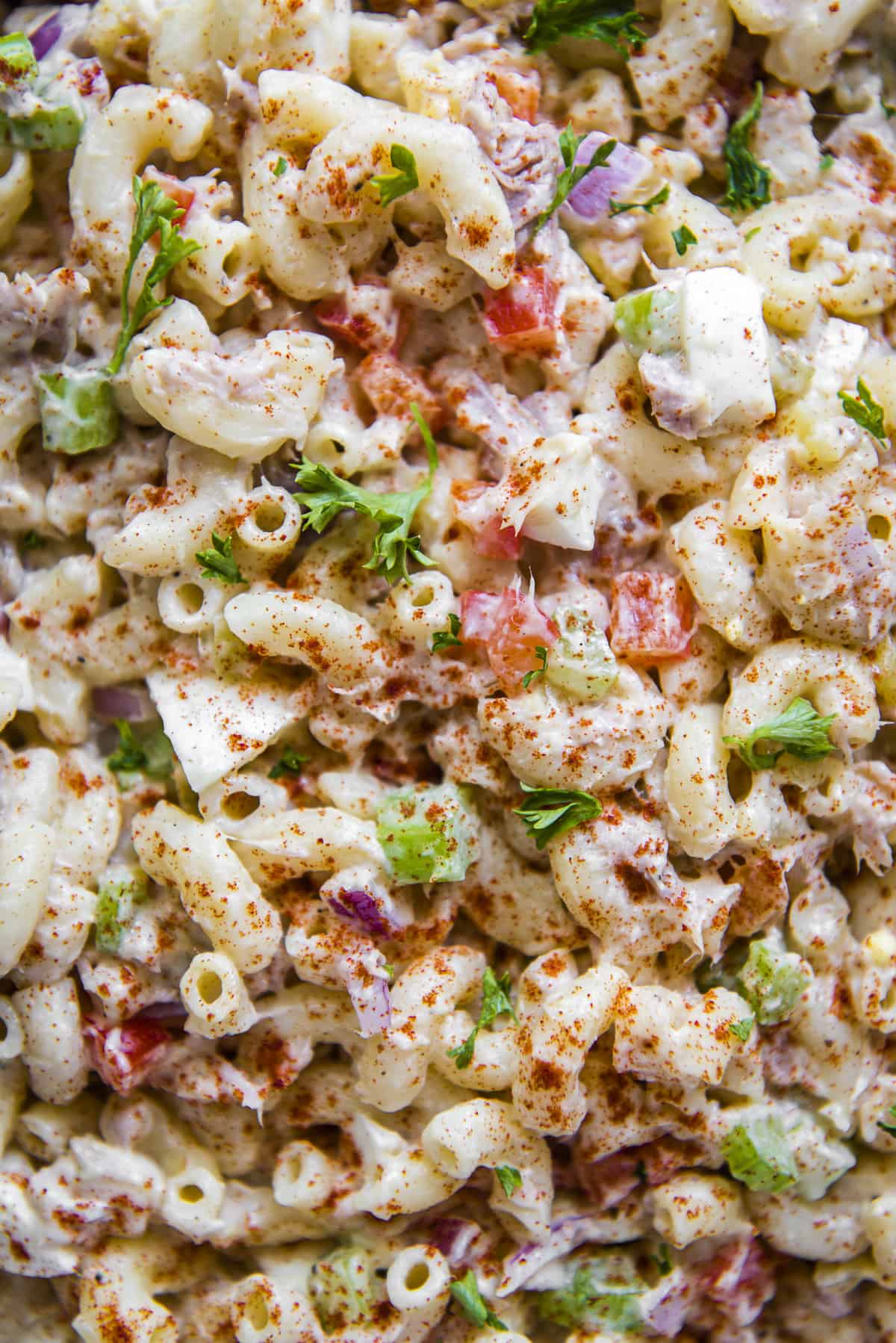 Closeup of Tuna Macaroni Salad