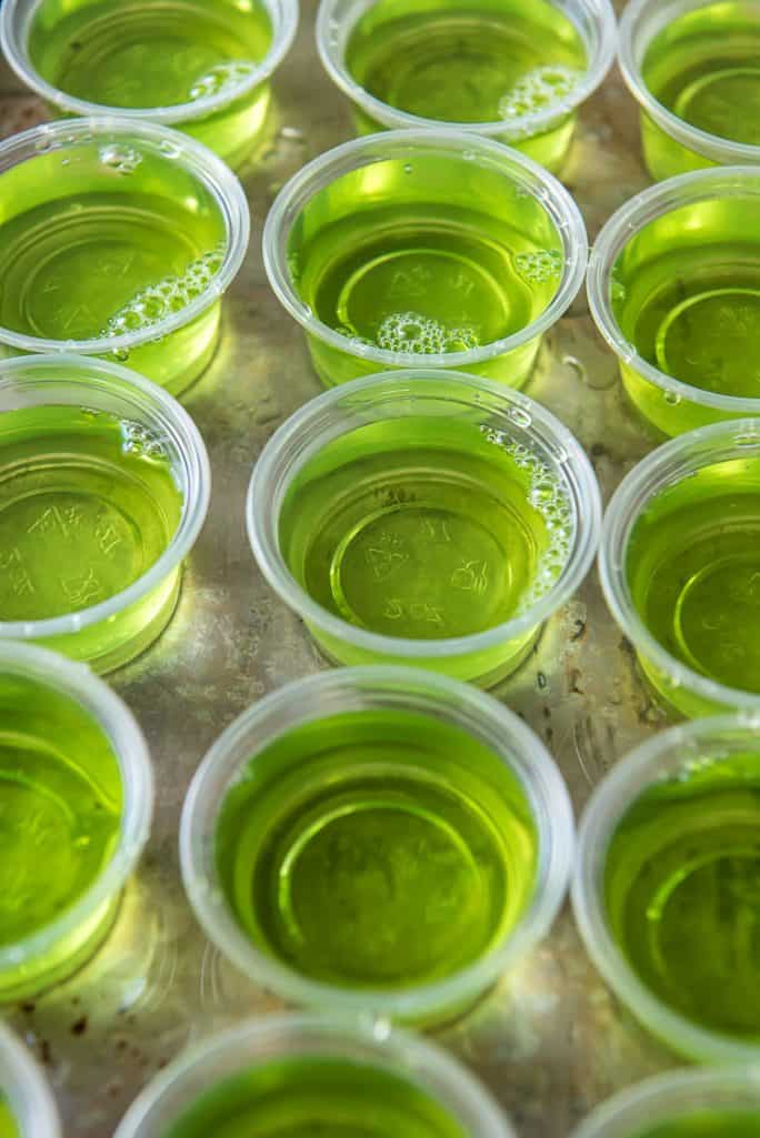 Cinnamon Apple Fireball Jello Shots • The Crumby Kitchen