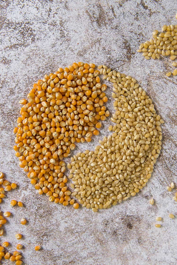 mushroom popcorn kernels and regular popcorn kernels arranged in a yin yang shape